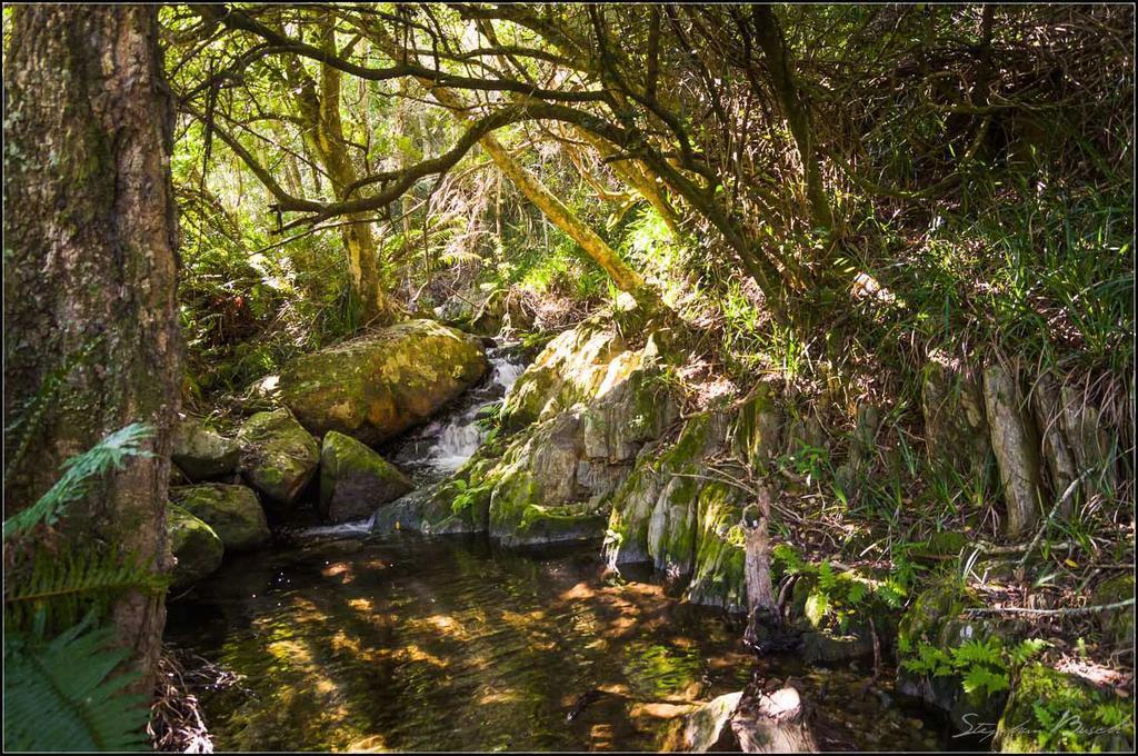 Pat Busch Mountain Reserve Робертсон Экстерьер фото