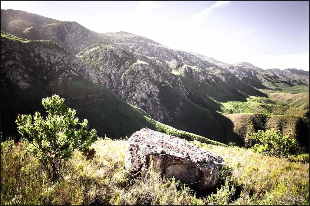Pat Busch Mountain Reserve Робертсон Экстерьер фото