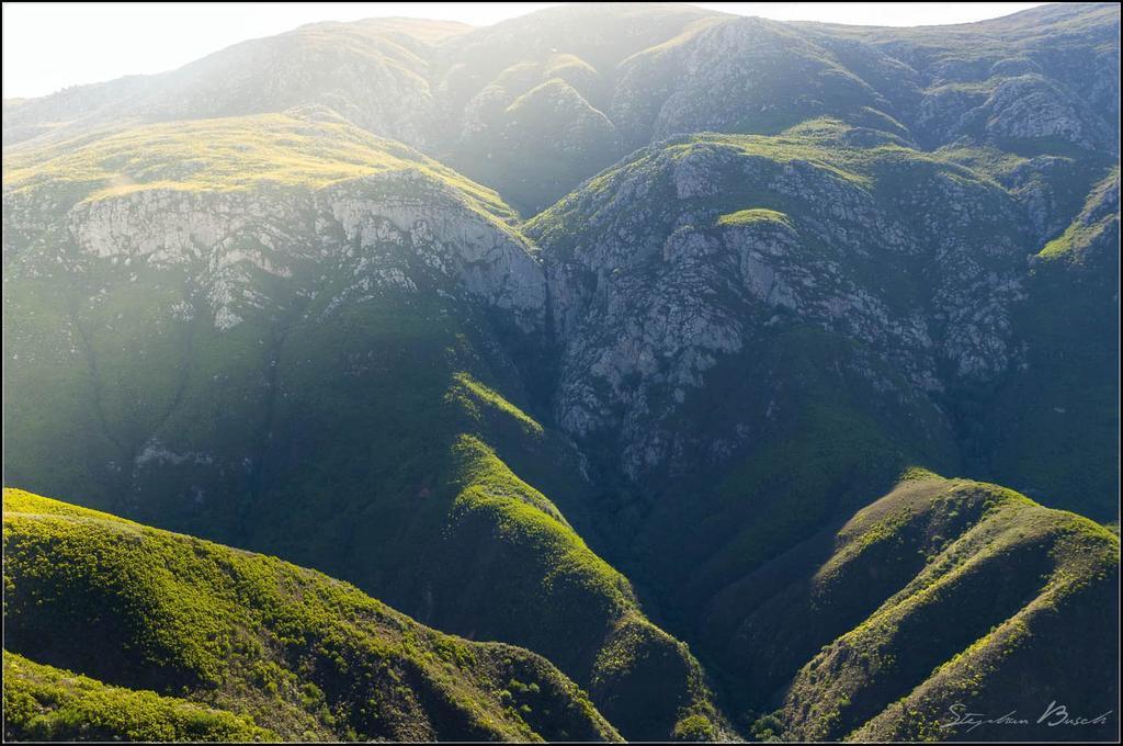 Pat Busch Mountain Reserve Робертсон Экстерьер фото