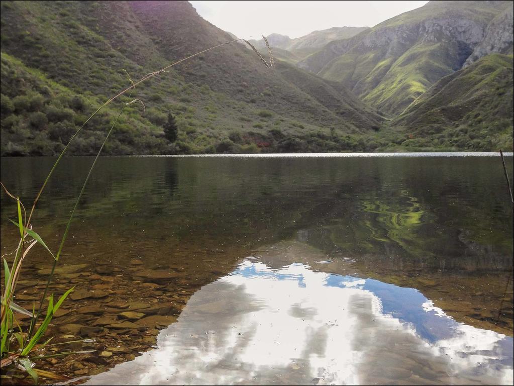 Pat Busch Mountain Reserve Робертсон Экстерьер фото
