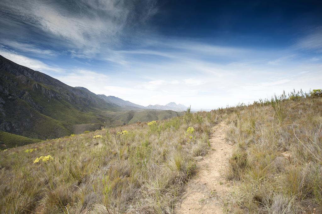 Pat Busch Mountain Reserve Робертсон Экстерьер фото