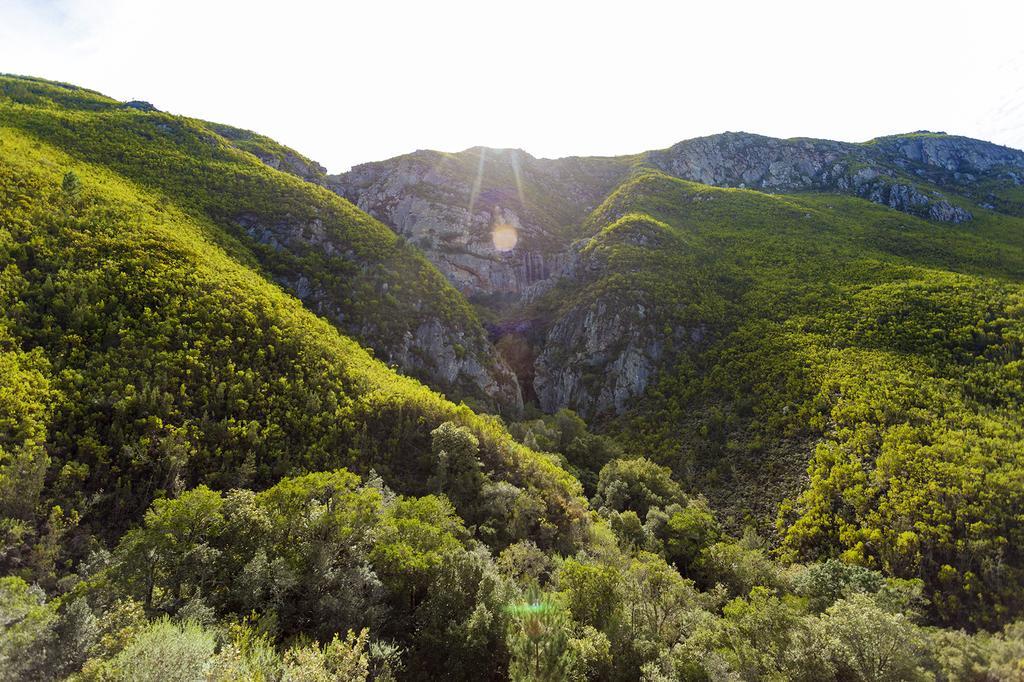 Pat Busch Mountain Reserve Робертсон Экстерьер фото