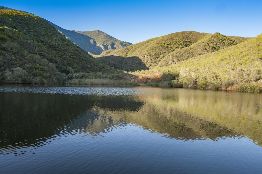 Pat Busch Mountain Reserve Робертсон Экстерьер фото